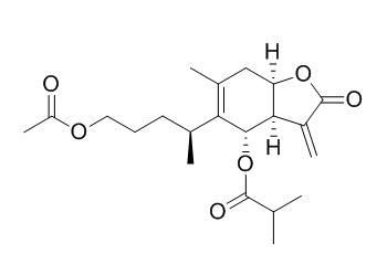 1-O-Acetyl-6-O-isobutyrylbritannilactone