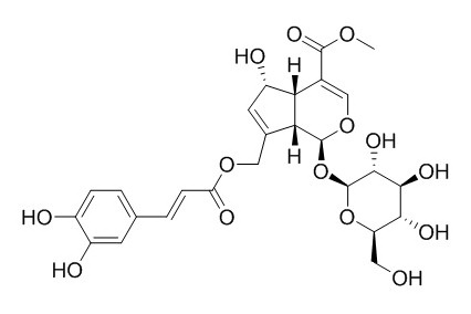 10-O-Caffeoyl-6-epiferetoside