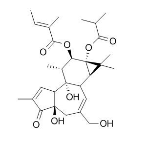 12-O-Tiglylphorbol-13-isobutyrate