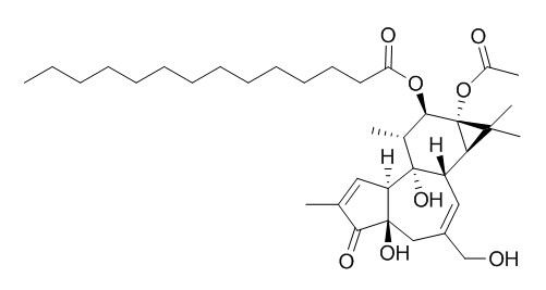 12-O-tetradecanoylphorbol-13-acetate