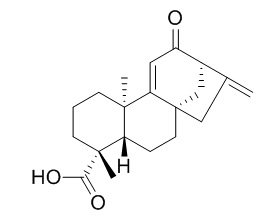 12-Oxograndiflorenic acid