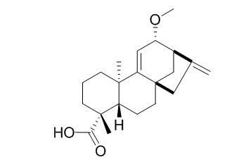 12alpha-Methoxygrandiflorenic acid