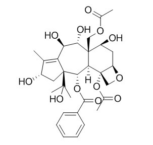 13-O-Deacetyltaxumairol Z