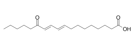 13-Oxo-9E,11E-octadecadienoic acid