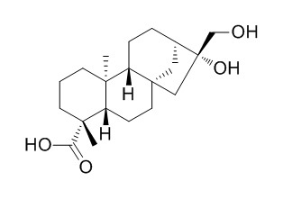 16beta,17-Dihydroxy-ent-kaurane-19-oic acid