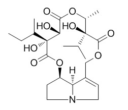 17-Methylparsonsianidine