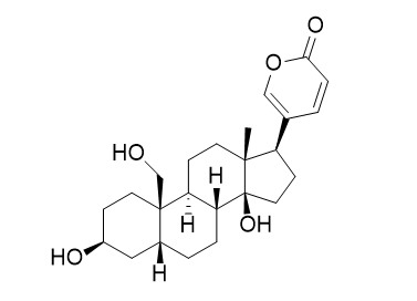 19-Hydroxybufalin