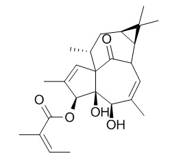 20-Deoxyingenol 3-angelate