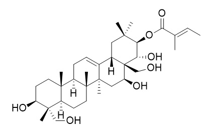 21-O-Tigloylgymnemagenin