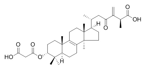 24(31)-Dehydrocarboxyacetylquercinic acid