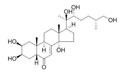 25S-Inokosterone