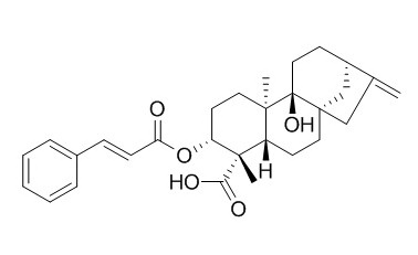 3alpha-Cinnamoyloxypterokaurene L3