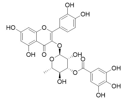 3''-Galloylquercitrin