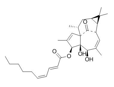 3-O-(2'E ,4'Z-decadienoyl)-20-deoxyingenol