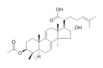 3-O-Acetyl-16 alpha-hydroxydehydrotrametenolic acid