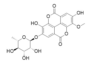 3-O-methylellagic acid 4'-O-alpha-L-rhamnopyranoside