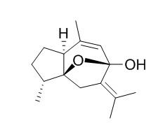 4-Epi-curcumenol