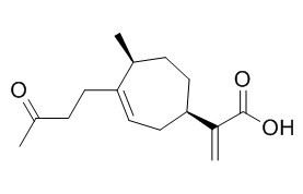 4-Oxobedfordiaic acid