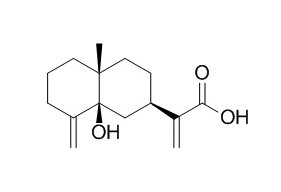 5beta-Hydroxycostic acid