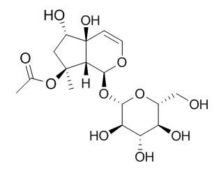 6-Epi-8-O-acetylharpagide