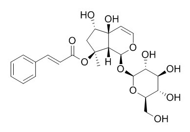 6-Epiharpagoside