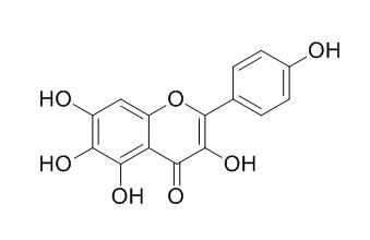 6-Hydroxykaempferol