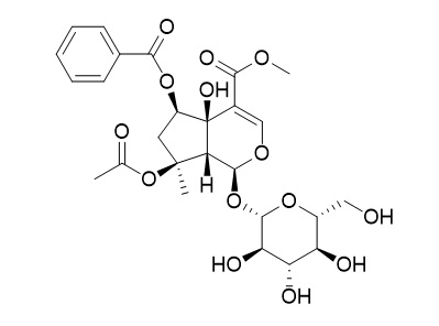 6-O-Benzoylphlorigidoside B