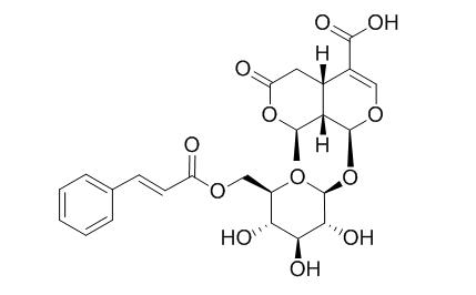 6'-O-Cinnamoyl-8-epikingisidic acid