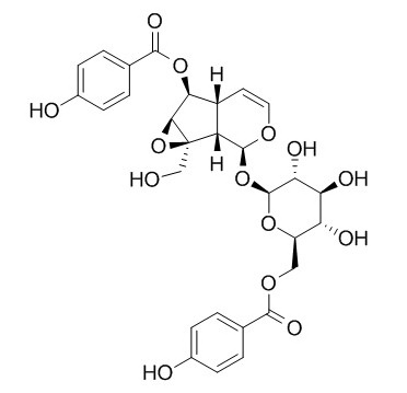 6'-O-p-Hydroxybenzoylcatalposide