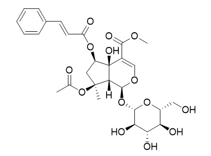 6-O-trans-Cinnamoylphlorigidoside B