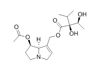 7-Acetyllycopsamine