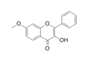 7-Methoxyflavonol