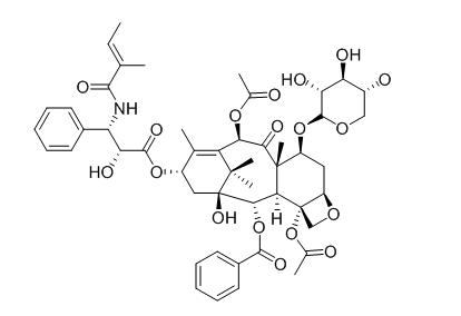 7-Xylosyltaxol B