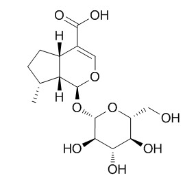 8-Epideoxyloganic acid