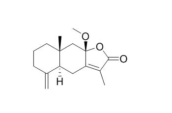 8beta-Methoxyatractylenolide I