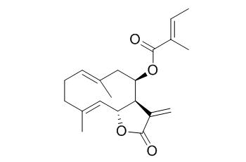 8beta-Tigloyloxycostunolide