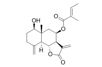 8beta-Tigloyloxyreynosin