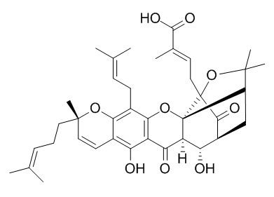 9R-10alpha-Hydroxyepigambogic acid