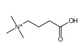 Actinine