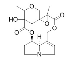 Adonifoline