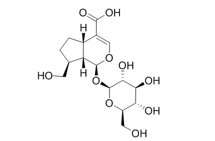 Adoxosidic acid