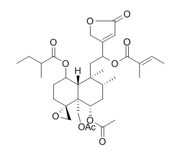 Ajugamarin G1