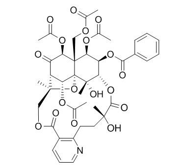 Alatamine