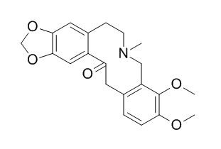 Allocryptopine