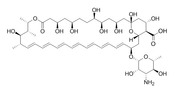 Amphotericin B