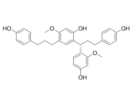 Anemarrhena B