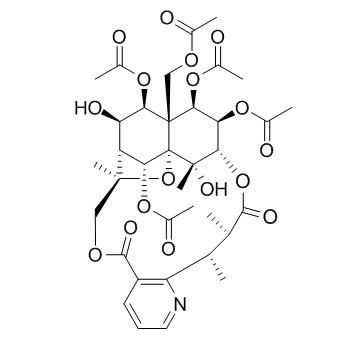 Aquifoliunine E-III