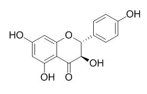 Aromadendrin