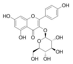 Astragalin