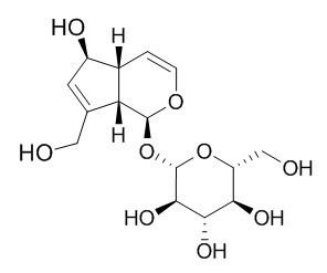 Aucubin